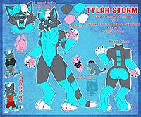 Ref Sheet - 1 View